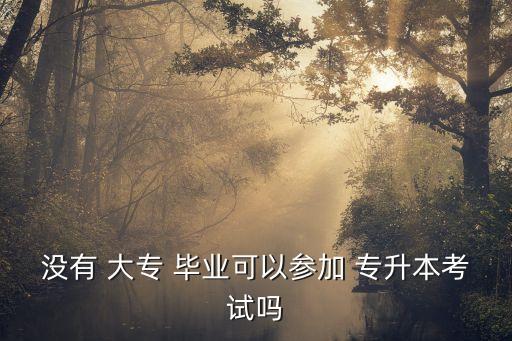 沒(méi)有 大專 畢業(yè)可以參加 專升本考試嗎