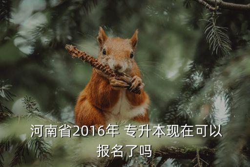 河南2016取消專升本,河南專升本報名時間表