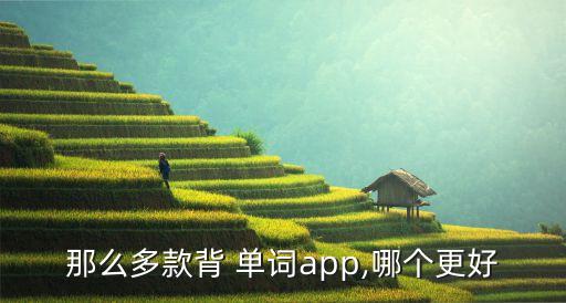 那么多款背 單詞app,哪個(gè)更好