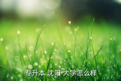 沈陽大學2018專升本,專升本遼陽大學如何解釋?