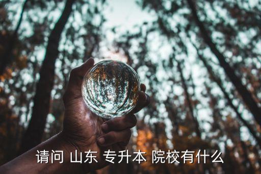 請(qǐng)問 山東 專升本 院校有什么