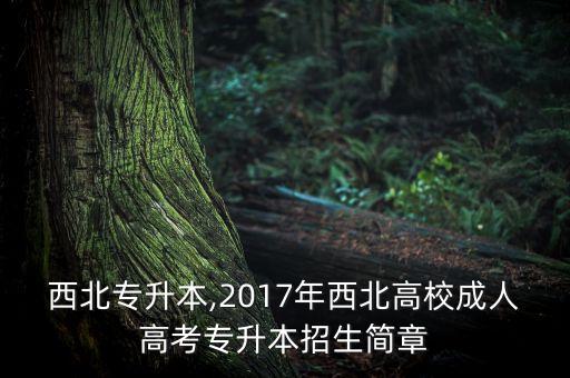 陜西西北專升本,2017年西北高校成人高考專升本招生簡章