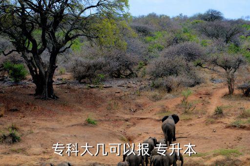 大專畢業(yè)后幾年可以專升本,大專怎么時(shí)候可以注冊(cè)專升本?