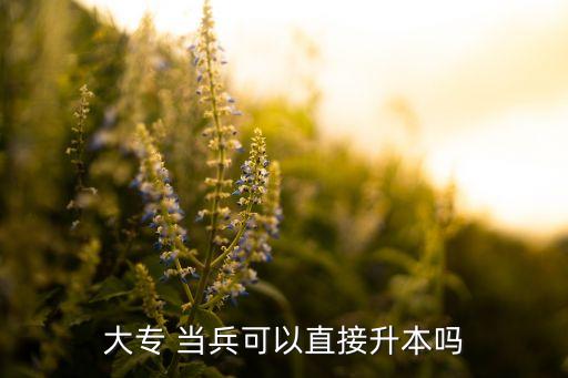 大學當兵專升本,退役大學生兵專升本實行單獨招生計劃