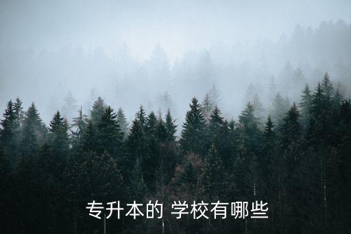  專升本的 學(xué)校有哪些