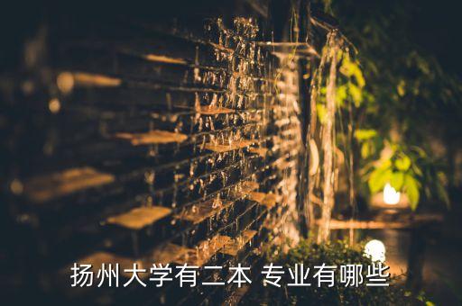 揚(yáng)州大學(xué)有二本 專業(yè)有哪些