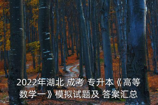 2022年湖北 成考 專升本《高等數(shù)學一》模擬試題及 答案匯總