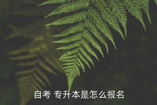 自考 專升本是怎么報名