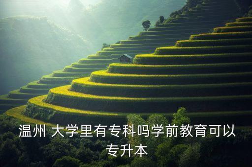  溫州 大學(xué)里有?？茊釋W(xué)前教育可以 專升本