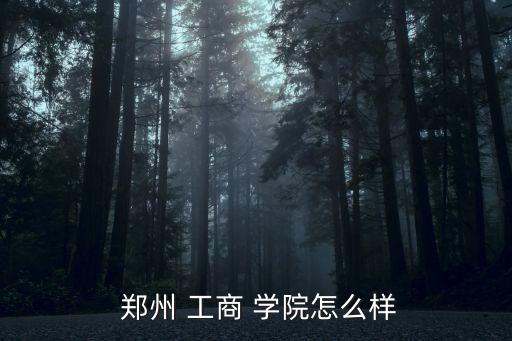  鄭州 工商 學(xué)院怎么樣