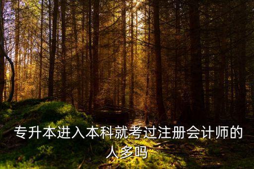  專升本進(jìn)入本科就考過(guò)注冊(cè)會(huì)計(jì)師的人多嗎
