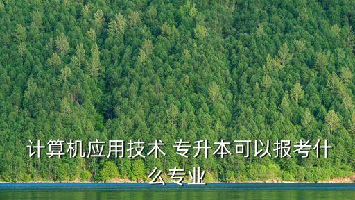  計算機應用技術 專升本可以報考什么專業(yè)