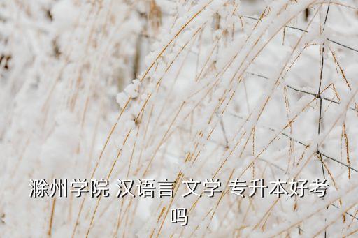 滁州學(xué)院 漢語言 文學(xué) 專升本好考嗎