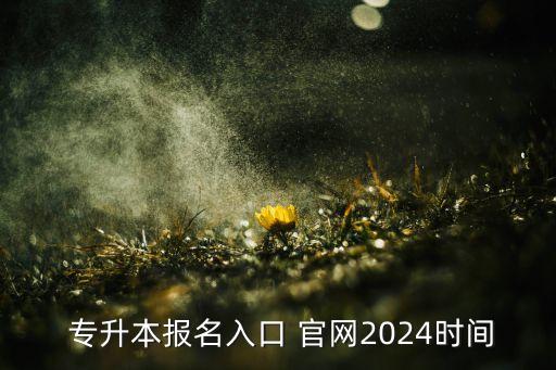  專升本報(bào)名入口 官網(wǎng)2024時(shí)間