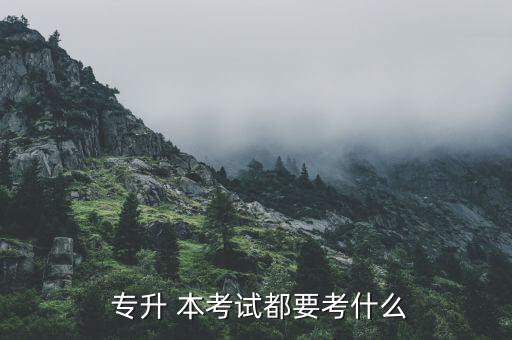  專升 本考試都要考什么