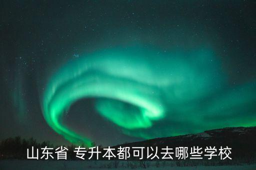 山東美術(shù)專升本,確定2020年專升本報(bào)名山東省網(wǎng)上報(bào)名