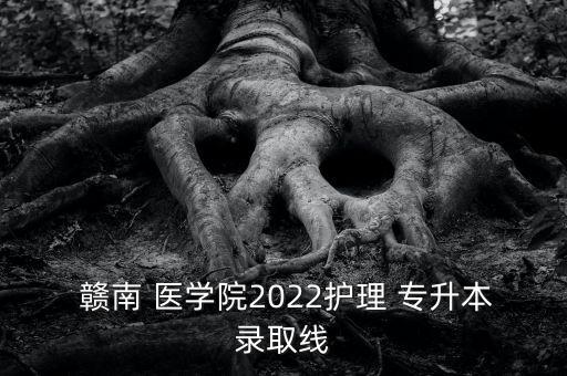  贛南 醫(yī)學(xué)院2022護(hù)理 專升本錄取線