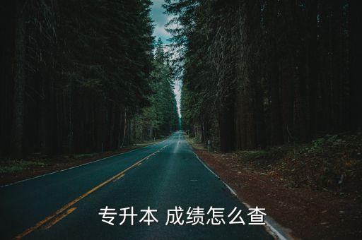  專升本 成績怎么查