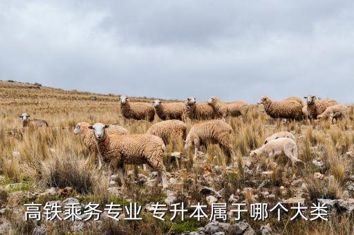 鐵道運(yùn)輸專升本,高鐵客運(yùn)可報(bào)考xi安交通工程學(xué)院