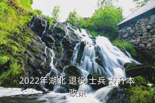 2022年湖北 退役 士兵 專升本政策