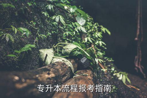  專升本流程報考指南