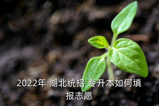 2022年 湖北統(tǒng)招 專升本如何填報(bào)志愿