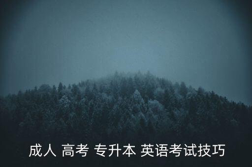  成人 高考 專升本 英語考試技巧