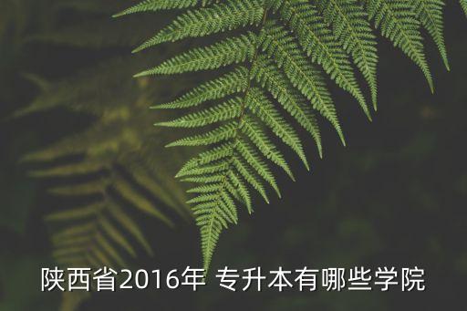 陜西省2016年 專升本有哪些學院