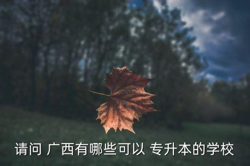 請(qǐng)問 廣西有哪些可以 專升本的學(xué)校