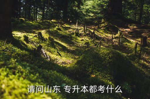 請(qǐng)問山東 專升本都考什么