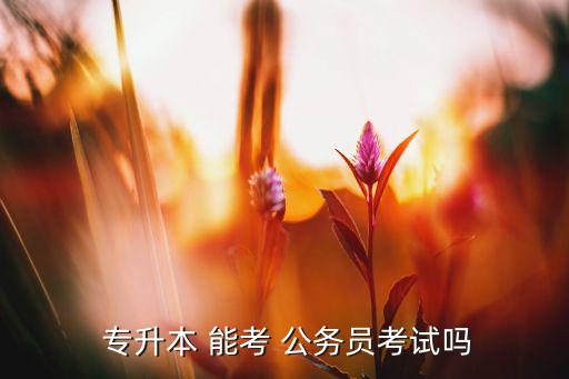 專升本以后能考公務員嗎,能考公務員嗎?能報名參加考試嗎?