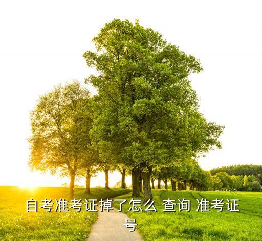  自考準(zhǔn)考證掉了怎么 查詢 準(zhǔn)考證號