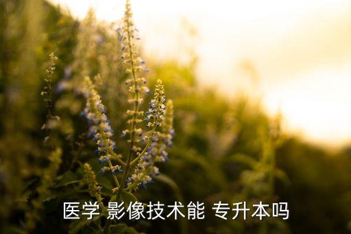 河南省成考專升本影像,河南省成人高考專升本考試需要考什么?