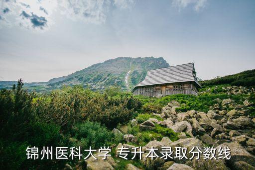 錦州專升本,遼寧醫(yī)科大學(xué)醫(yī)學(xué)專業(yè)類別多層次