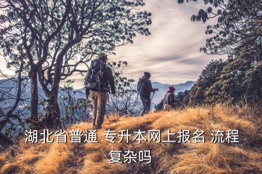  湖北省普通 專升本網(wǎng)上報(bào)名 流程復(fù)雜嗎