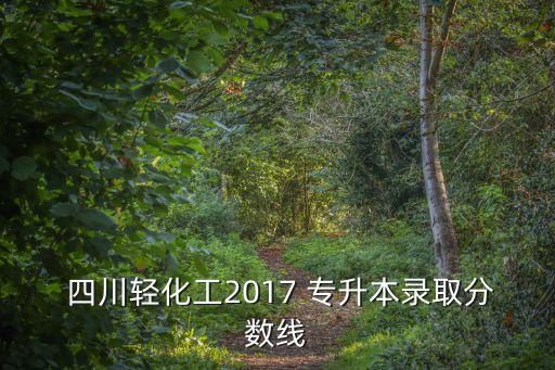 2017四川成考專升本,成人高等學(xué)府學(xué)習(xí)計(jì)劃