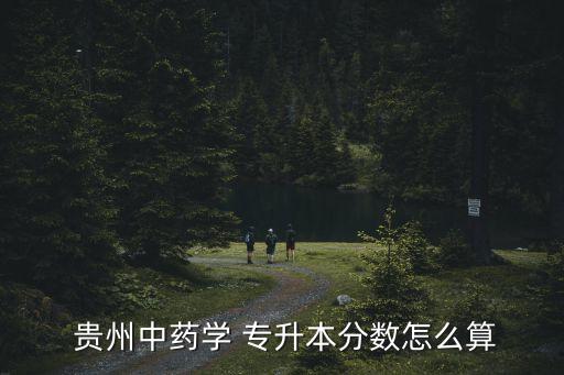  貴州中藥學(xué) 專升本分?jǐn)?shù)怎么算