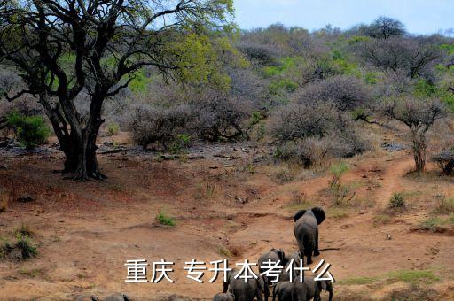 重慶地區(qū)專升本,重慶統(tǒng)招專升本考試成績:考試錄取難度大