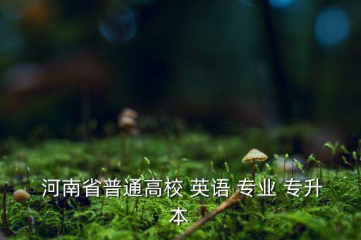  河南省普通高校 英語(yǔ) 專業(yè) 專升本