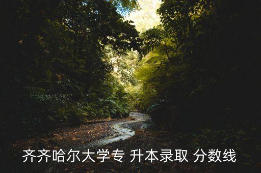 齊齊哈爾大學(xué)專 升本錄取 分?jǐn)?shù)線