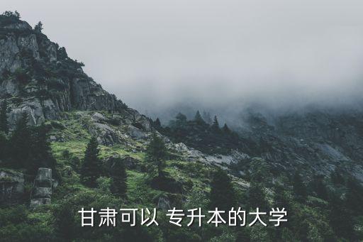  甘肅可以 專升本的大學(xué)