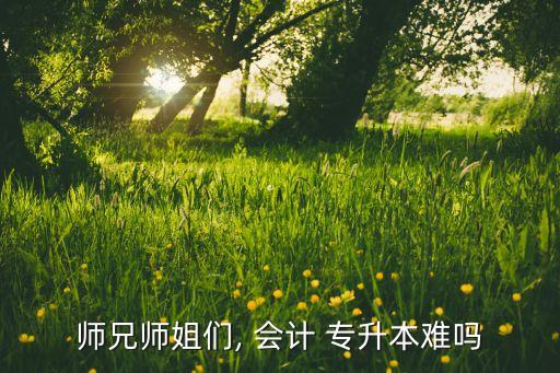 師兄師姐們, 會計(jì) 專升本難嗎