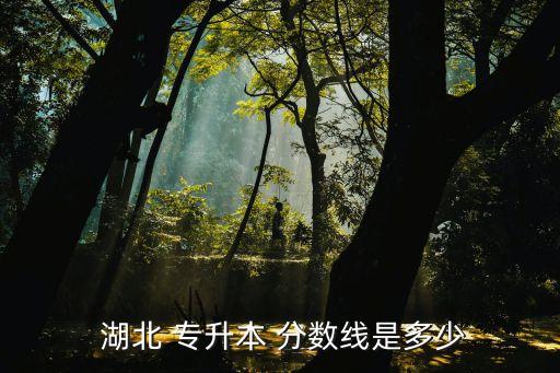 2018年湖北專升本分數(shù)線,湖北普通專升本分數(shù)線公布!