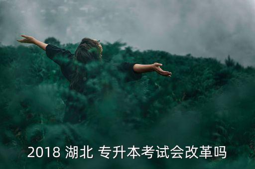 2018 湖北 專(zhuān)升本考試會(huì)改革嗎