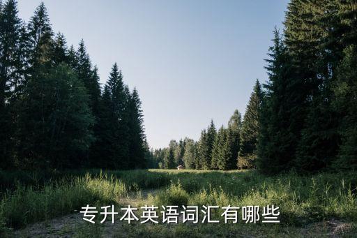 專升本形容詞練習,專升本英語詞匯:特殊和獨一無二