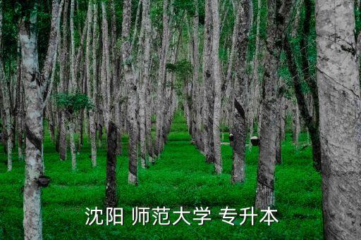  沈陽 師范大學(xué) 專升本