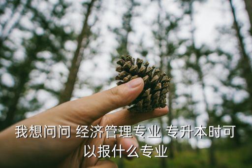 我想問問 經(jīng)濟(jì)管理專業(yè) 專升本時(shí)可以報(bào)什么專業(yè)