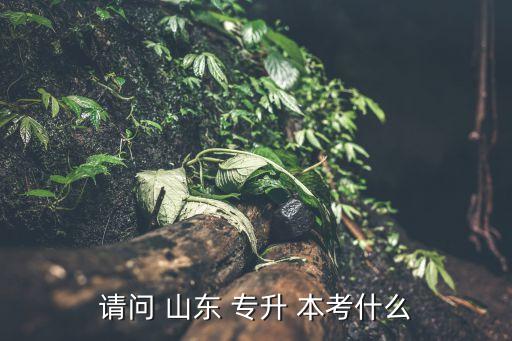 請問 山東 專升 本考什么