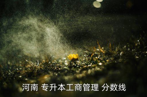 河南專升本招生分?jǐn)?shù),河南成人高考/我們來了解一下吧