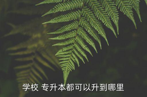 專升本升到哪,本地高等學府畢業(yè)生如何申請專升